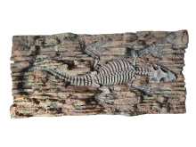 Oversized Dinosaur Fossil Rock Decor for Reptile Enclosures