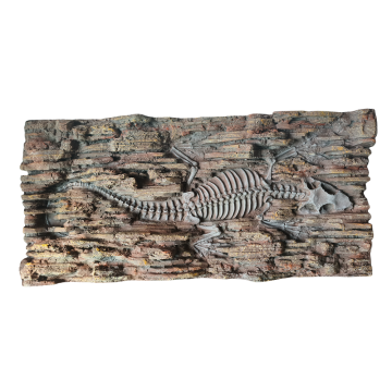 Decoração de rocha fóssil de dinossauros de grandes dimensões para gabinetes de répteis