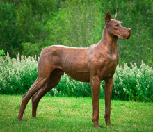 House garden decor statue life size bronze great dane sculpture