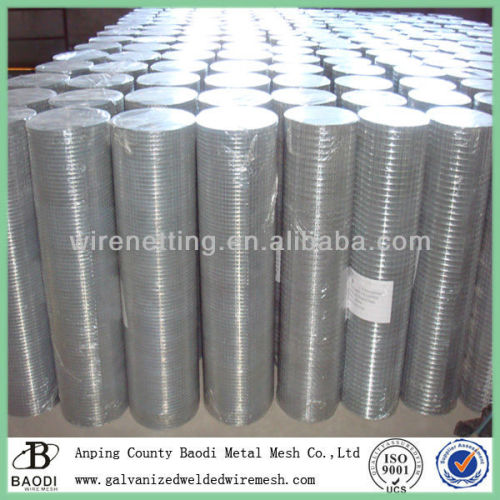 iron high quality galvanized welded wire mesh factory