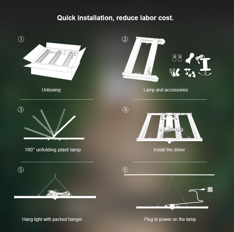 Échantillon gratuit 240W 4 bars LED Grow éclair