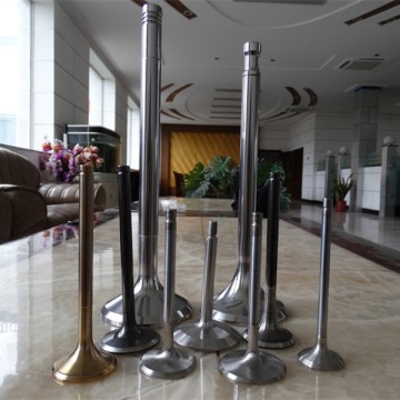 Exhaust valves for DK-20 engine valves, diesel engine spare parts