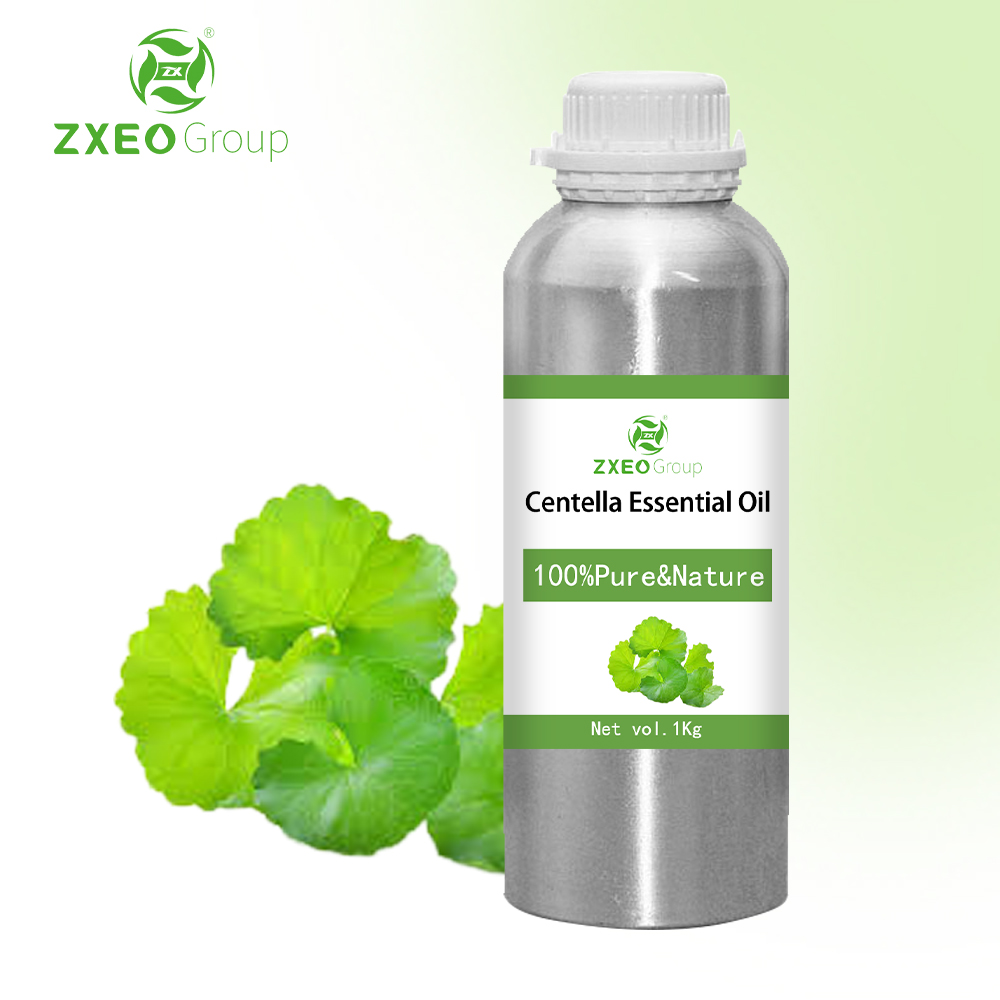 Centella Asiatica Essential Huile Qualité 100% pur huile GOTU KOLA Extrait biologique Natural Natural Skin Care Massage corporel aromathérapie