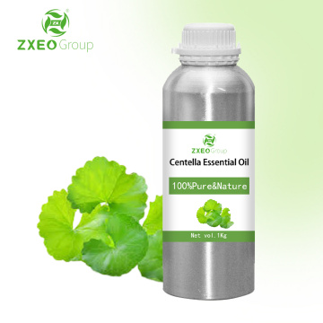 Centella एशियाटिक आवश्यक तेल की गुणवत्ता 100% शुद्ध तेल गोटू कोला अर्क कार्बनिक प्राकृतिक त्वचा देखभाल शरीर मालिश तेल अरोमाथेरेपी