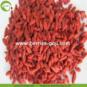 Approvisionnement en usine fruits en vrac 20KG Goji Berry