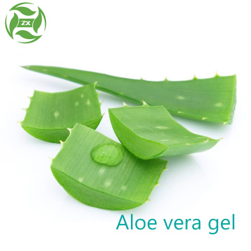 Soin de la peau 100% pur gel d&#39;aloe vera naturel