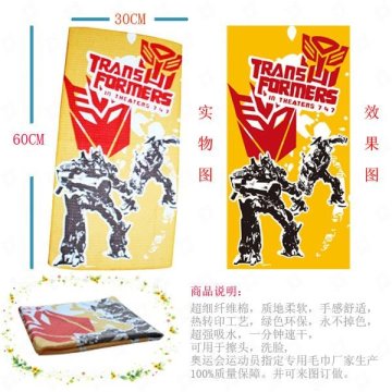 Customized Carton Quick Dry Eagle Creek Microfiber Travel Towels For Sports