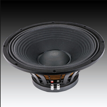 10" Sub woofer speaker BW I 10/ 600W RMS subwoofer