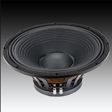 10" Sub woofer speaker BW I 10/ 600W RMS subwoofer
