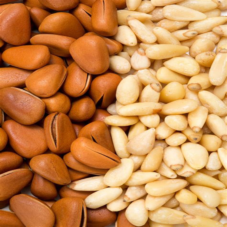 factory wholesale pine nuts with good prices,china pine nut kernels