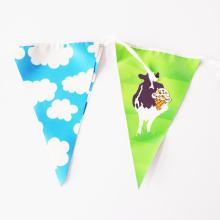 Custom multicolor  plastic bunting pennant banner