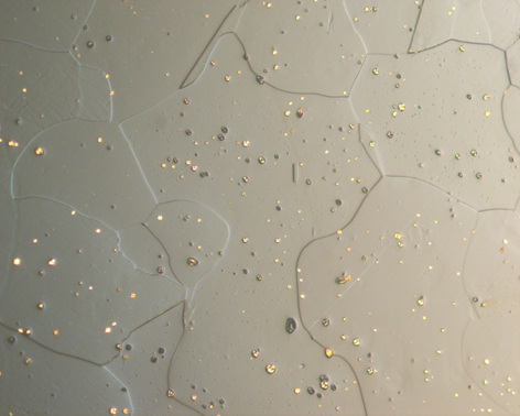 Cu-12Sn polarized light 50× Cu-12Sn polarized light 50×