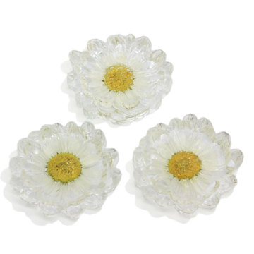 New Lovely Real Daisy Flower Decoration Resina Flatback Cabochons 100 Pz / lotto 35 MM Grande margherita Fiore Orecchino Base Risultati Artigianato