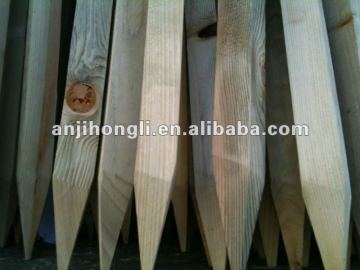 Carbonized Softwood Stake