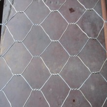 Chicken wire mesh / hexagonal wire netting (Factory))