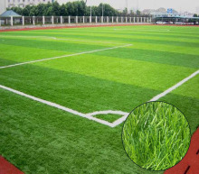 Artificial Grass for Sports Fields and Gardens