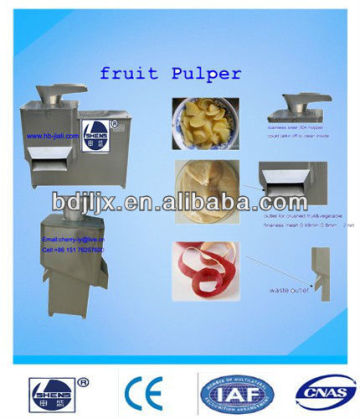 fruit bluberry processing machine