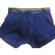 What Kind of Underwear