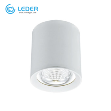 LEDER Hanging Dimmable 20W LED Downlight