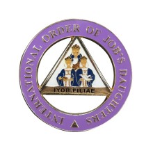 Custom Car Badges Emblems Metal Purple Car Badge