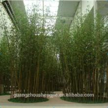 Q081522 all kinds of artificial bamboo tree plastic bamboo stick