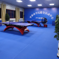 Enlio Sports Floor para 2022 - 2024 ITTF World Table Tennis Championships