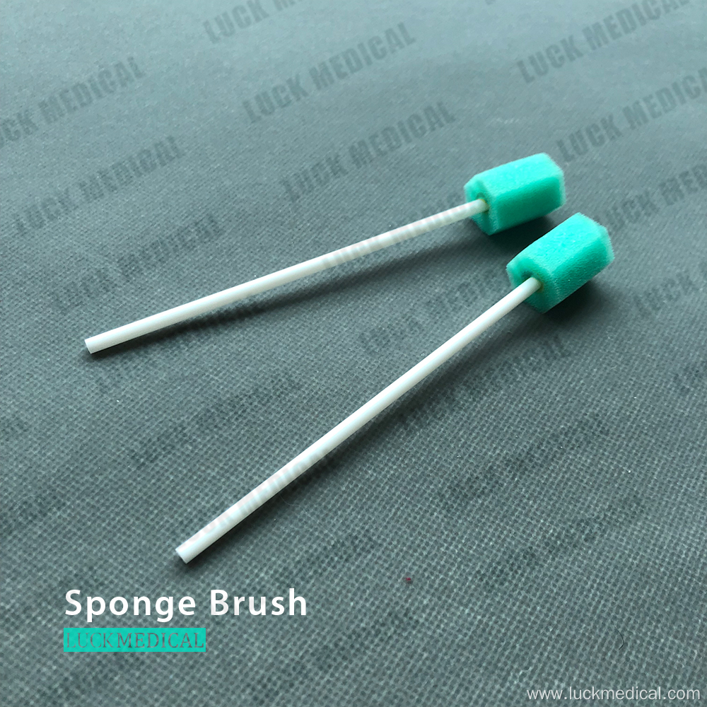 Disposable Oral Sponge Brush