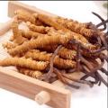 Suplemen Obat Cordyceps Sinensis Polisakarida&gt; 40%