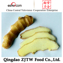 Spicy Ginger 150gr Ginger