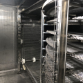 IQF Chicken Quick Spiral Freezer