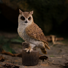 Customized Life-Size Resin Owl Figurines for Garden Decoration