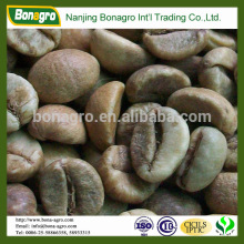 bulk coffee green bean