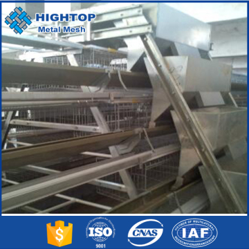 Layer chicken cage automatic feeding system factory