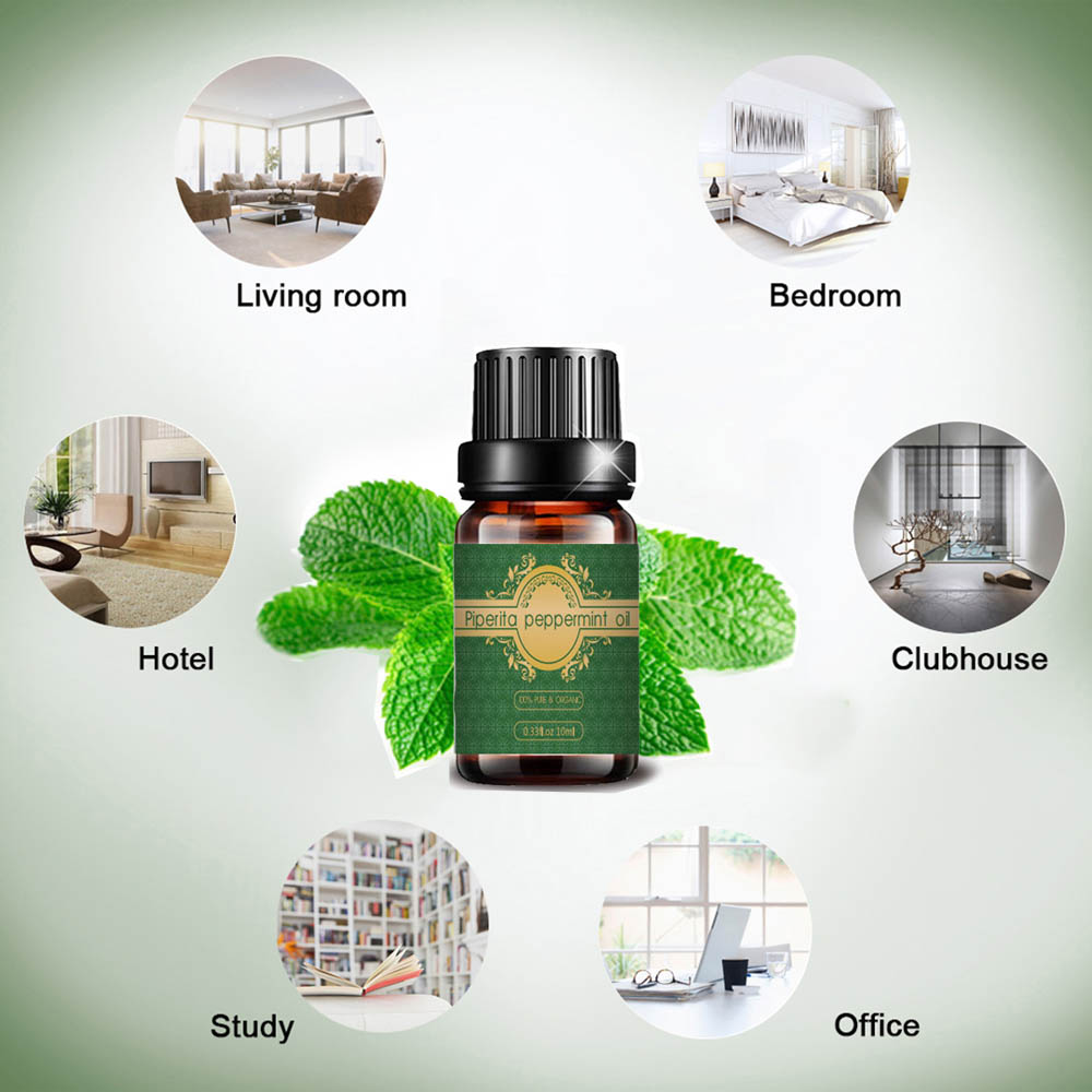 Grosir Piperita Piperita Peppermint Minyak untuk Perawatan Kulit