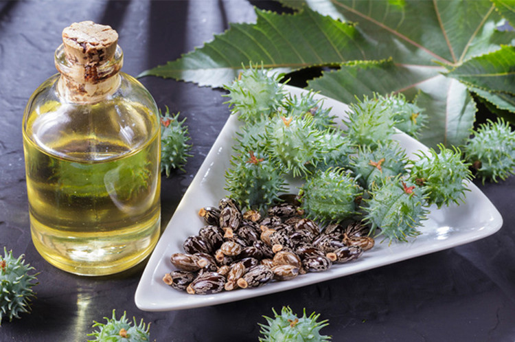 castor carrier oil for skin care