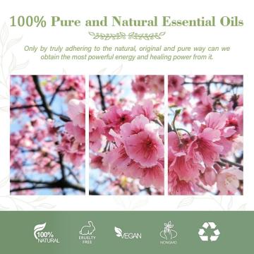 Price al por mayor Cherry Blossoms Prafume Oil Fragance Oil Concentred Perfume Oils
