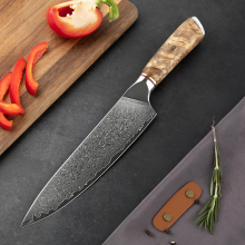 Professional Fanteck VG10 Damascus Chef Knife for Kitchen Cooking