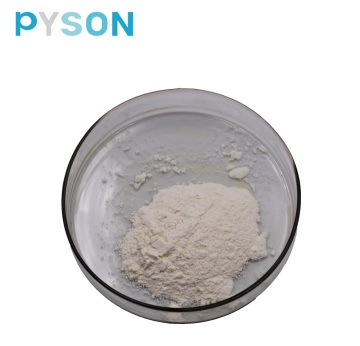 Garlic Extract Allicin 0.2%