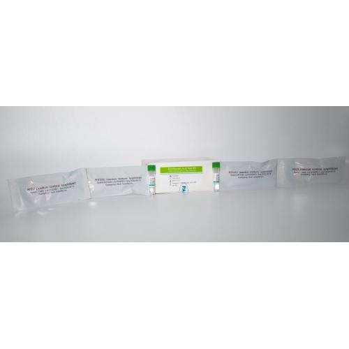 RSV Nucleic Acid Test Kit (PCR- fluorescence probe method)