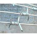 High Quality Electro Galvanized Barbed Wire Security Fence