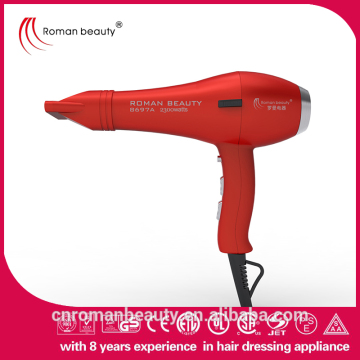 Private label professional hair dryer for barber and household