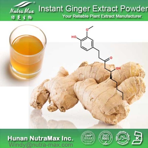 Water Soluble Ginger Extract Powder, Instant Ginger Powder, Ginger Tea Powder