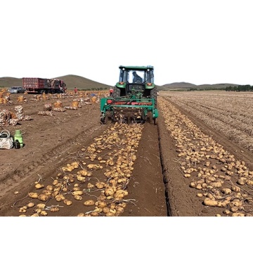 4U-600 Potato Harvester Chain | Automatic Digger Harvester for Sale