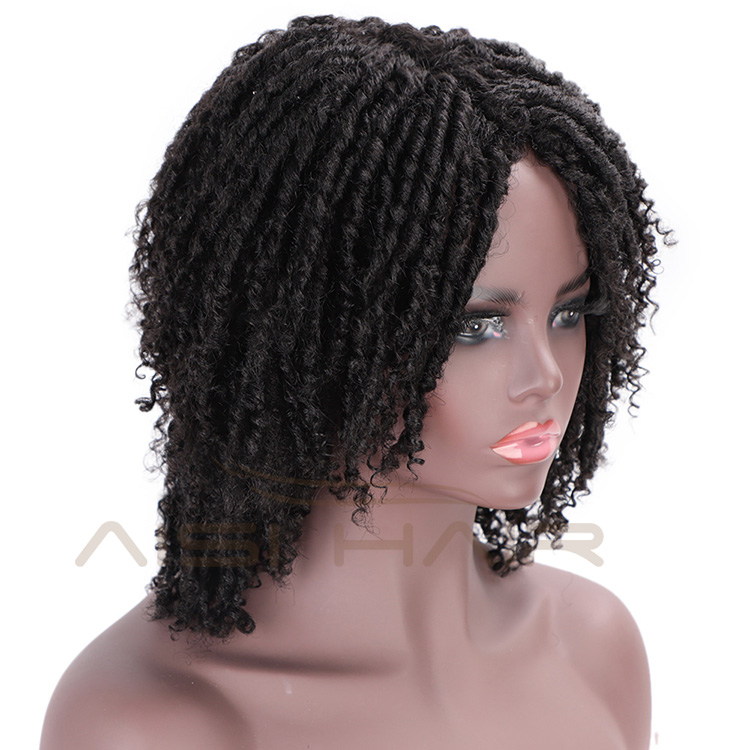 Aisi Hair Synthetic Wigs For Black Women Crochet Braids Twist Faux Locs Braids Hairstyle Long Afro Black Hair for Women