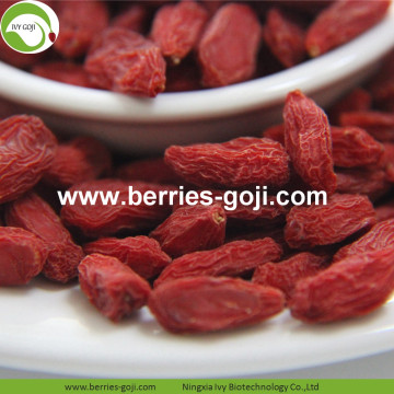 Factory Wholesale Super Food Nutrition Malaysia Goji