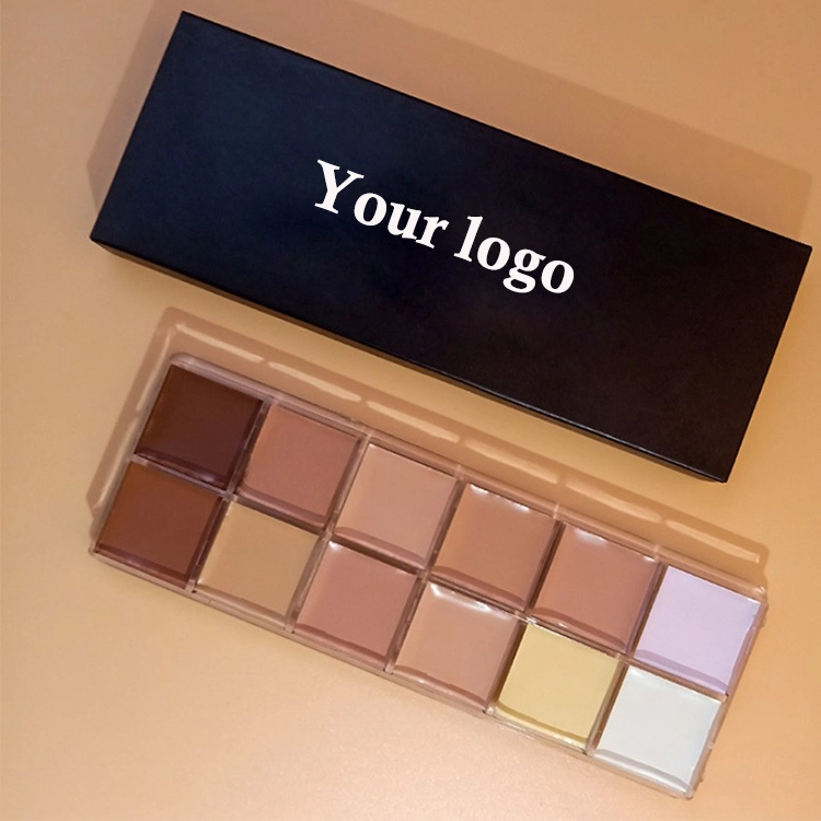 PRO Concealer Makeup 12 Color Full Coverage Concealer Private Label Concealer Pallete Makeup