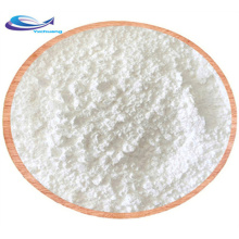 YXchuang Bio-Based Succinic Acid (SA) CAS 110-15-6