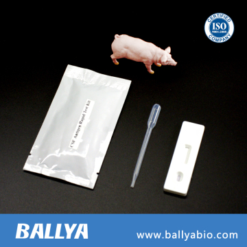 Animal disease diagnostics test kit rapid CSF Antigen rapid test kit/Swine disease test kit