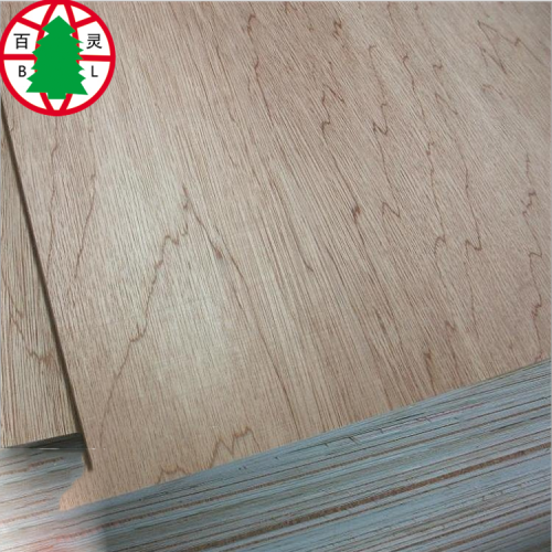 high quality good sell eucalyptus plywood/gum wood plywood