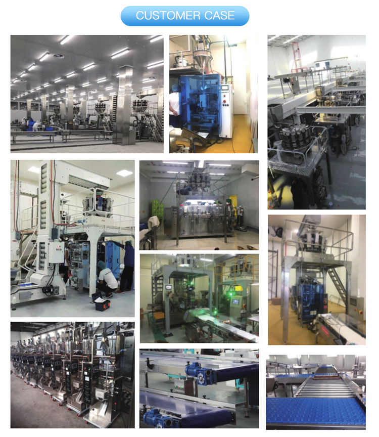 Horizontal Automatic Flow Wrap Machine Widely used in food medicine industries